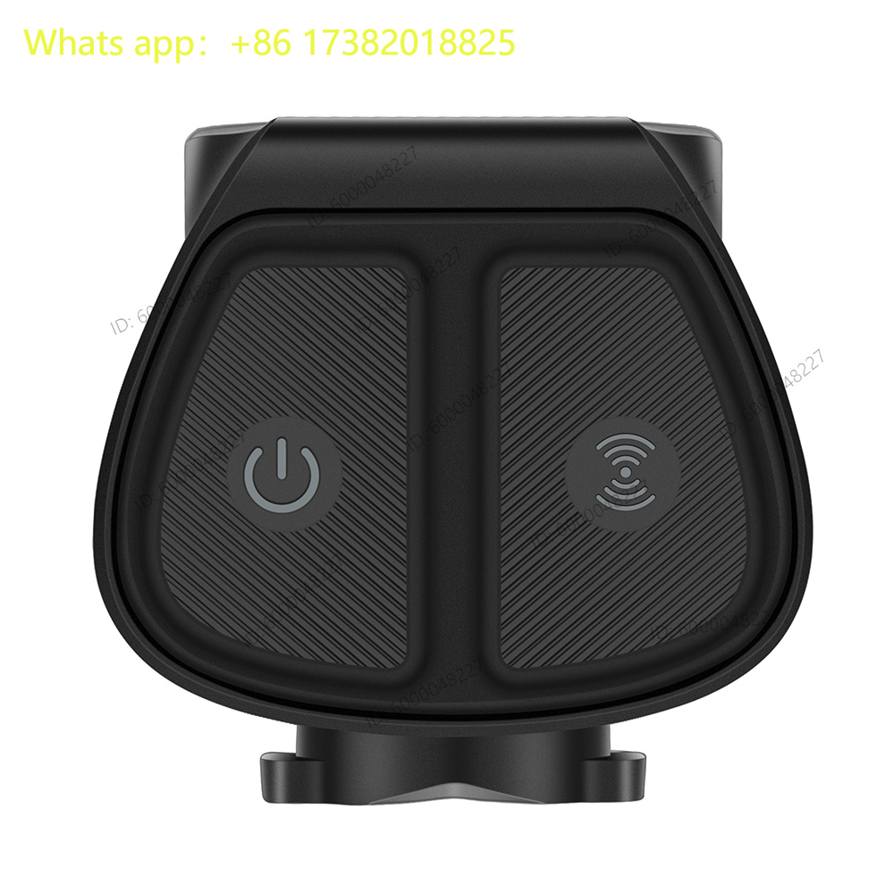 R300 Fietsradar Achterlicht Sm - Bike Tail Light recensie en prijs